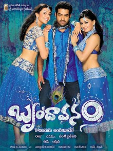 Movie: Brindavanam (2010)