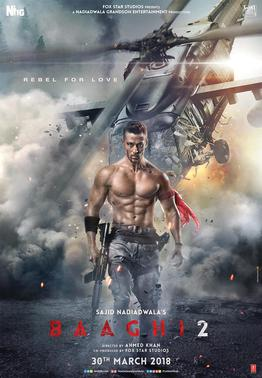 Movie: Baaghi 2 (2018)