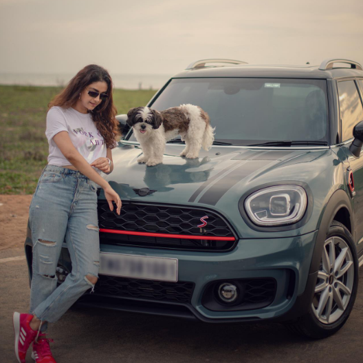 Car (BMW X7 Luxury SUV)