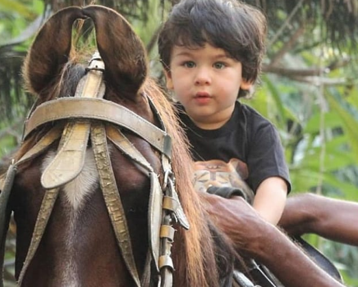 Taimur Ali Khan Photoshoot with Horse