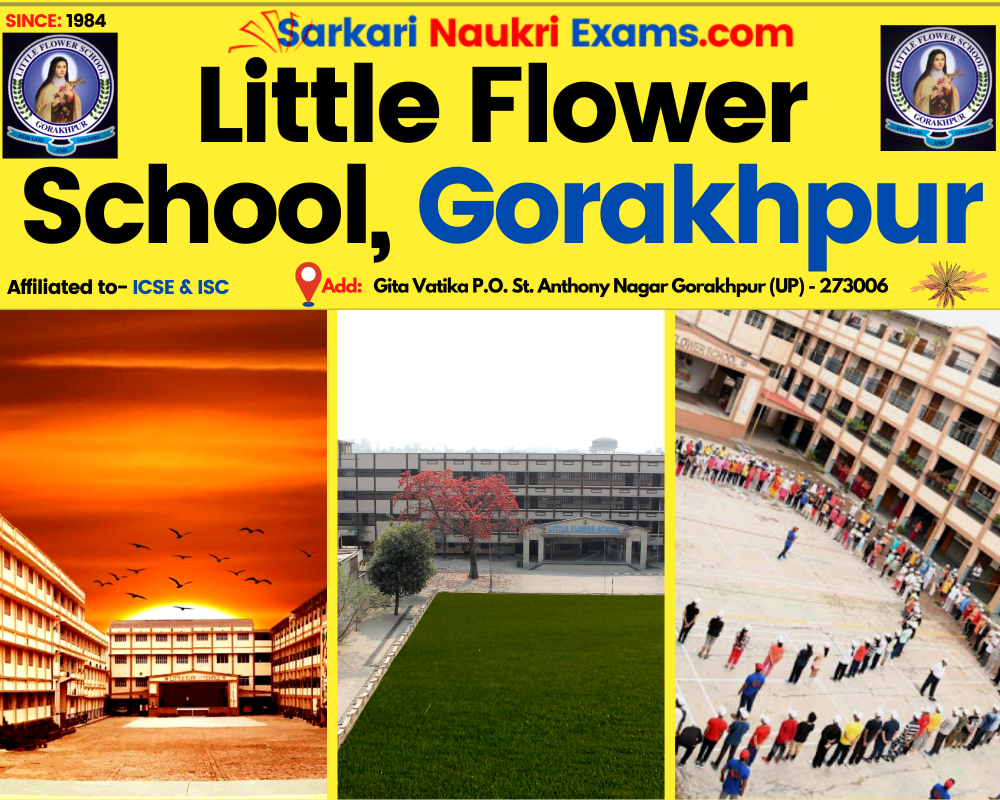Little Flower School Gorakhpur