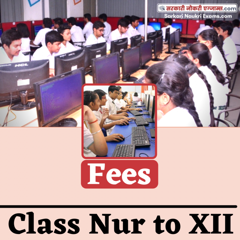 Fee Structure DPS Indira Nagar, Lucknow (UP) for year 20242025