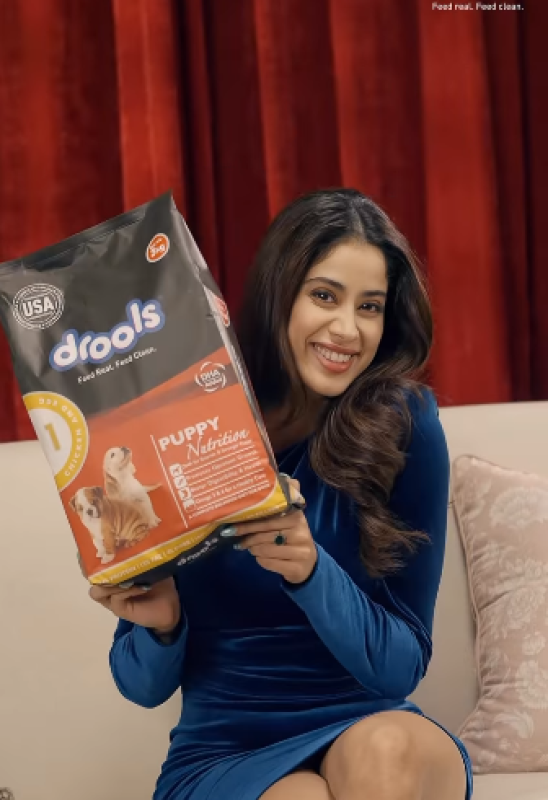 Promo: Drools (2023)