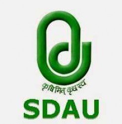 SADU Gujarat Junior Clerk Admit Card 2019