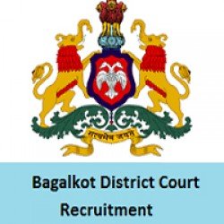 Bagalkot District Court Peon, Typist and Typist-Copyist Recruitment 2019
