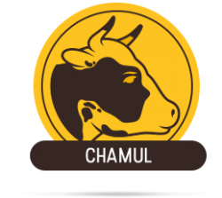 CHAMUL Assistant Manager, Junior Technician Recruitment 2019