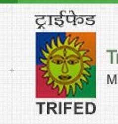 TRIFED Group A, B, C Recruitment 2019