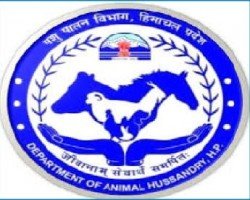 HP Animal Husbandry Department Result 2021 (Peon) | Merit List To Be Announced 