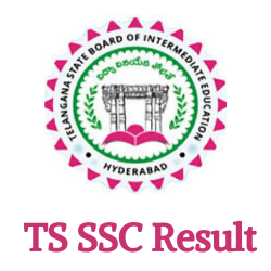 TS SSC/10th Results 2021 bse.telangana.gov.in/results.cgg.gov.in