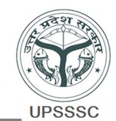 UPSSSC Technical Assistant 2016 Final Result