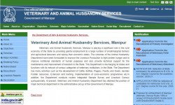 Veterinary & Animal Husbandry Services, Manipur Admit Card 2021: Download  Link Exam Date !!