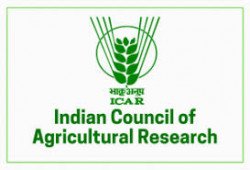 ICAR IARI Assistant Recruitment Form 2022 Last Date Extended 