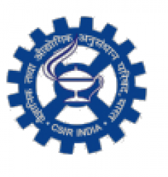 CSIR NEIST Assam Manager, BDM, Technical Officer & Other Post 2021: Walk-in Interview !!