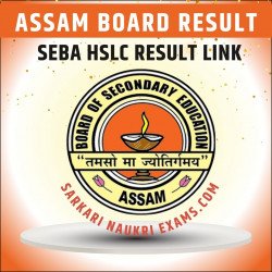 results.sebaonline.org 10th Result 2023 | Assam Board SEBA HSLC Result Link