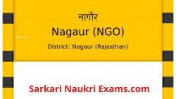  District Project Coordinator Nagaur Recruitment Form 2022