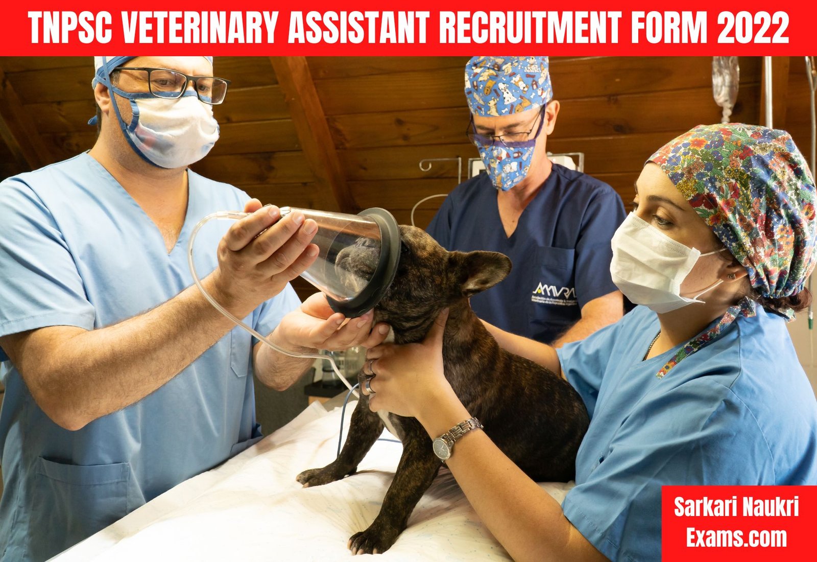 TNPSC Veterinary Assistant Recruitment Form 2022 | Salary Up To 205700/-
