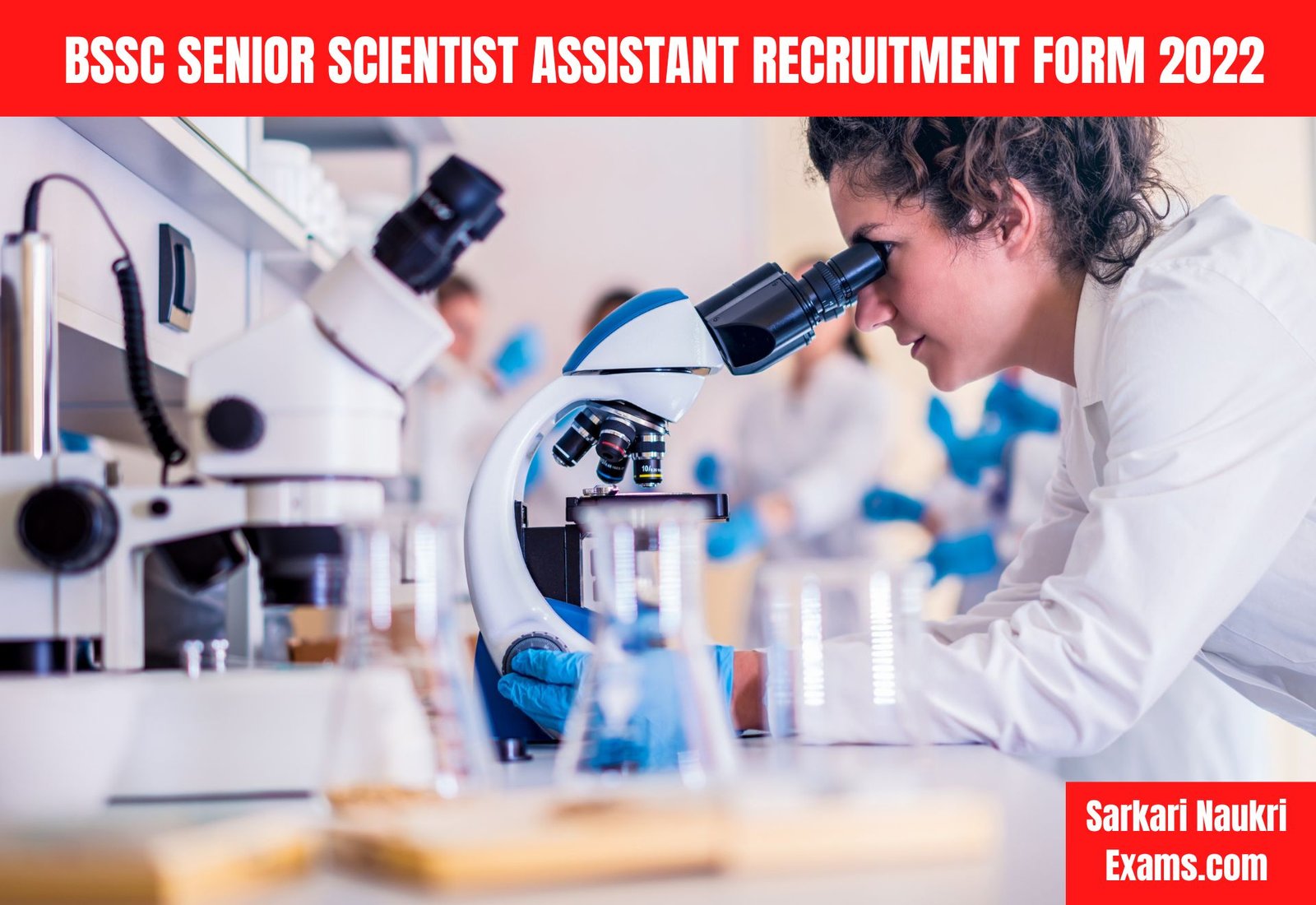  BSSC Senior Scientist Assistant Recruitment Form 2022 | Last Date 24 December 2022