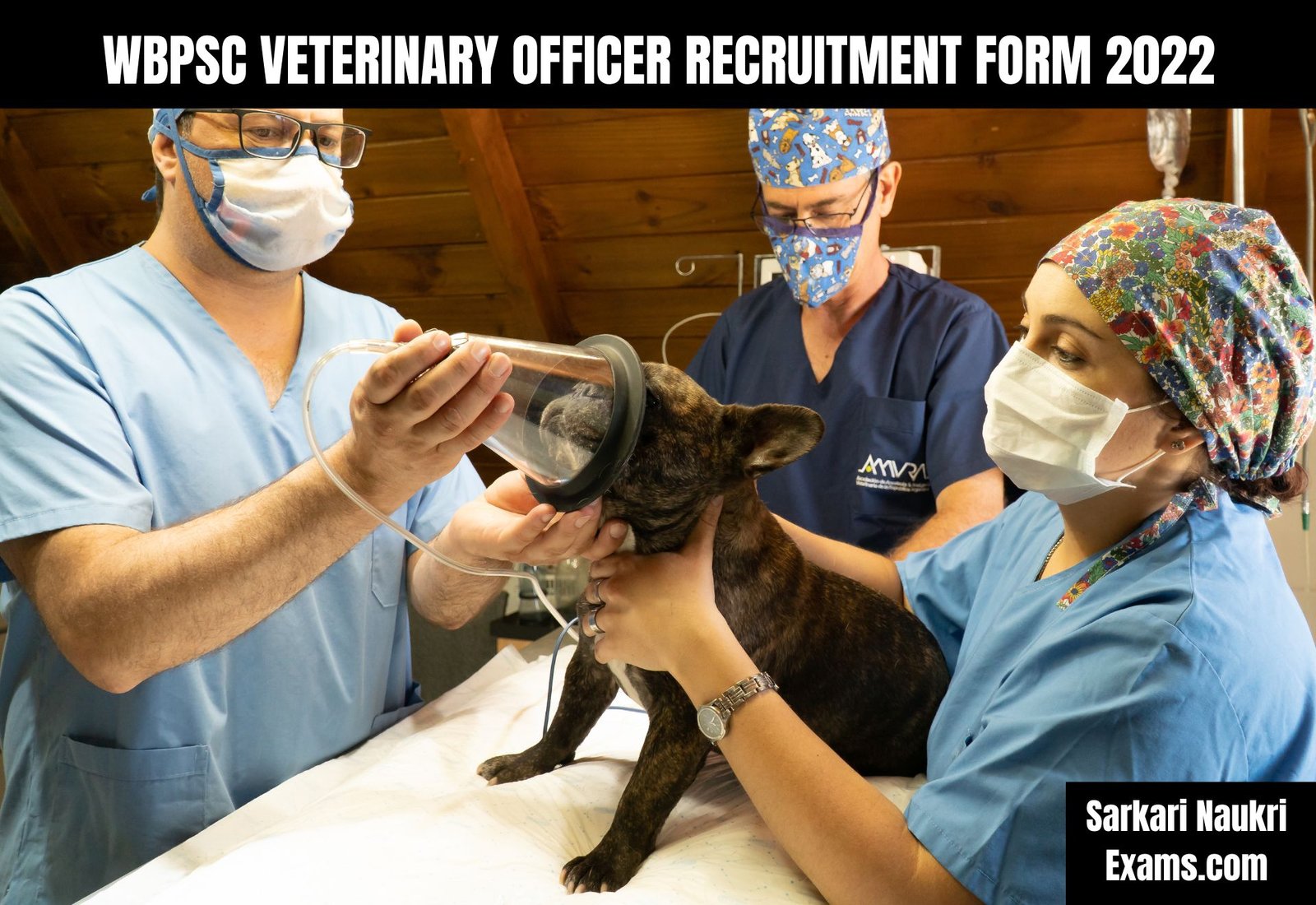 WBPSC Veterinary Officer Recruitment Form 2022 [ Link Active ]