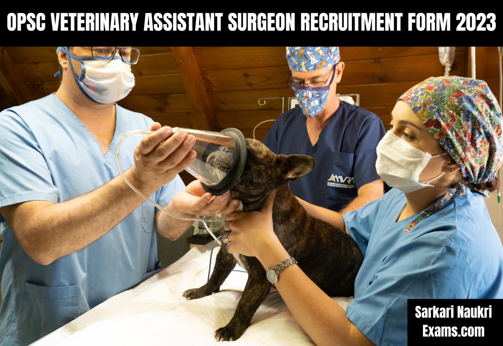 OPSC Veterinary Assistant Surgeon Recruitment Form 2023 | Salary Up To 177500/-