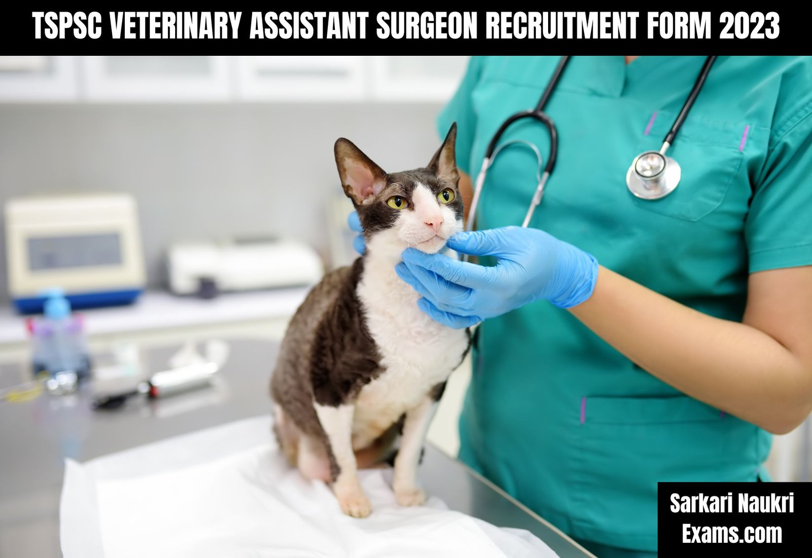 TSPSC Veterinary Assistant Surgeon Recruitment Form 2023