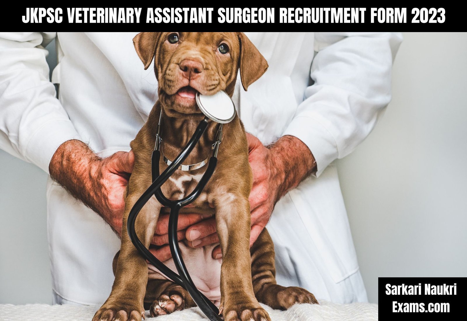 JKPSC Veterinary Assistant Surgeon Recruitment Form 2023