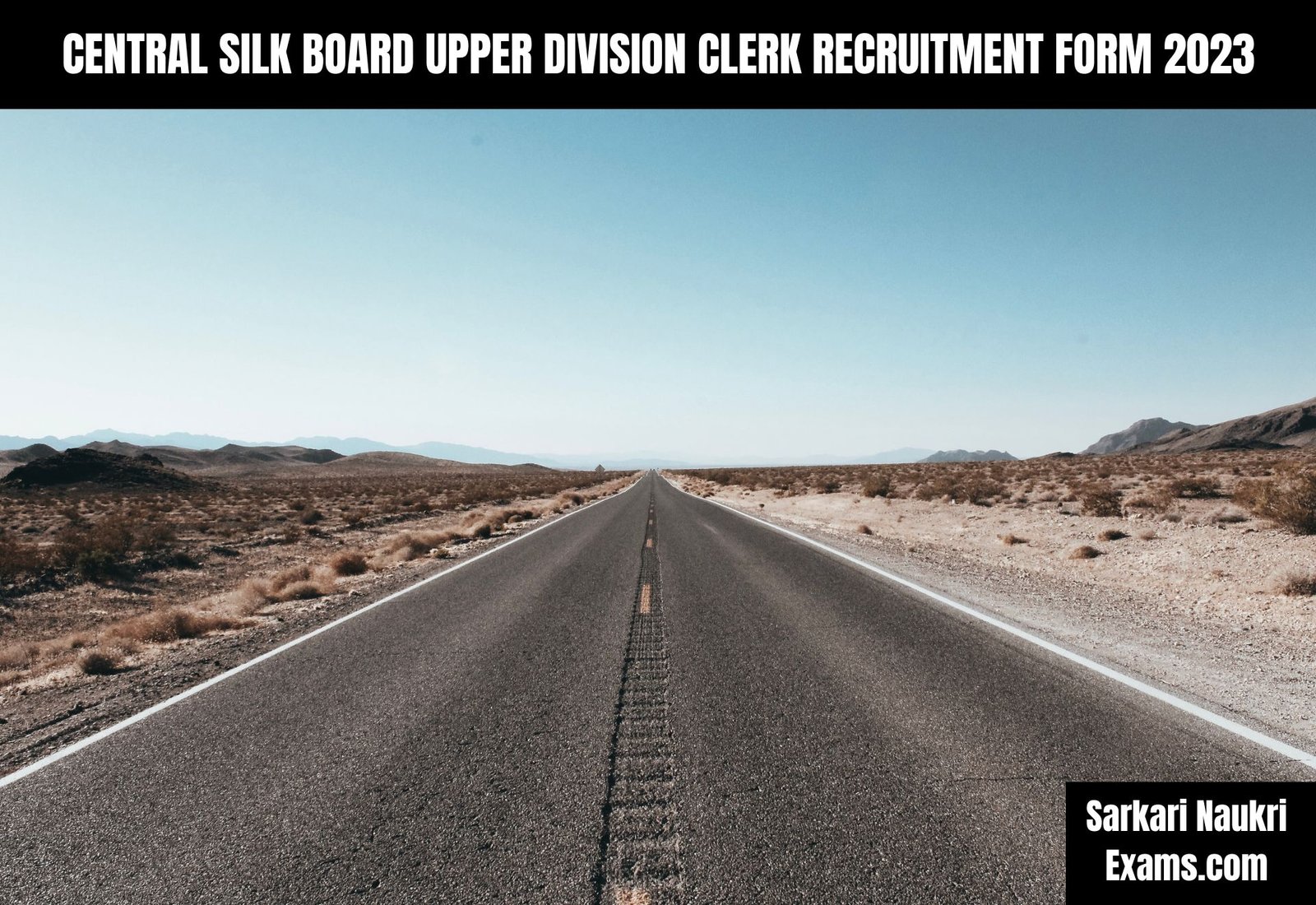 Central Silk Board Upper Division Clerk Recruitment Form 2023