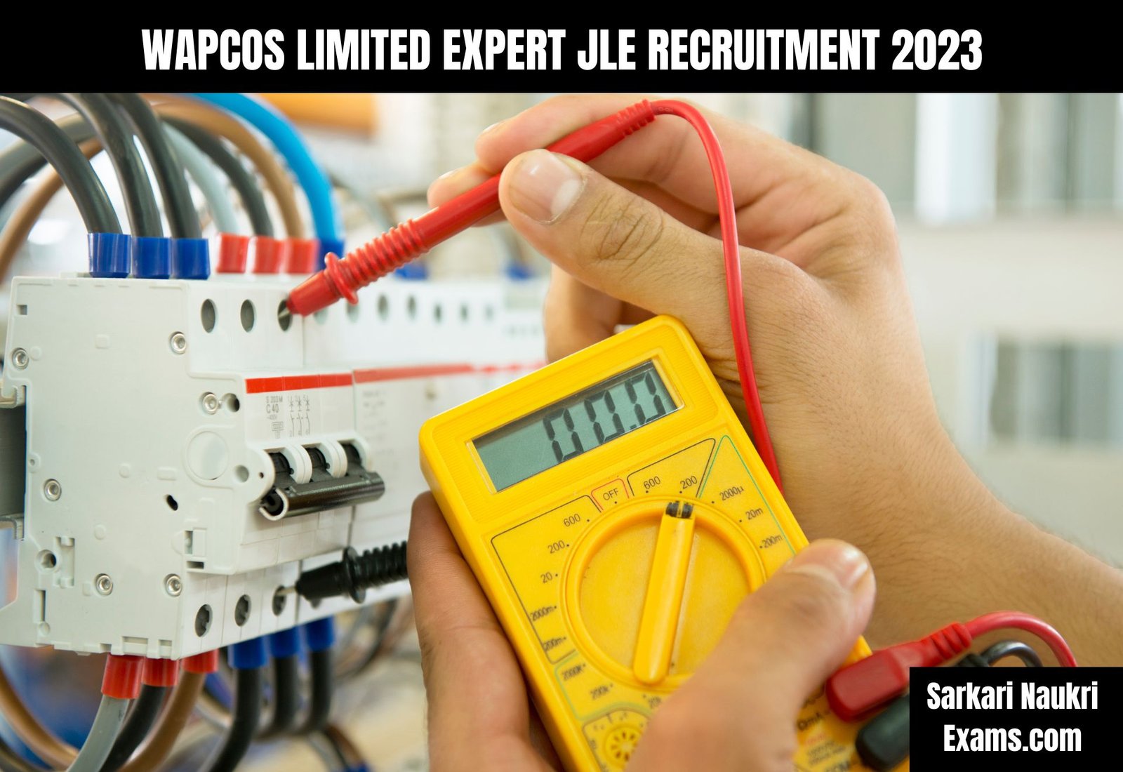 WAPCOS Limited Expert JLE Recruitment Form 2023 | Interview Based Job
