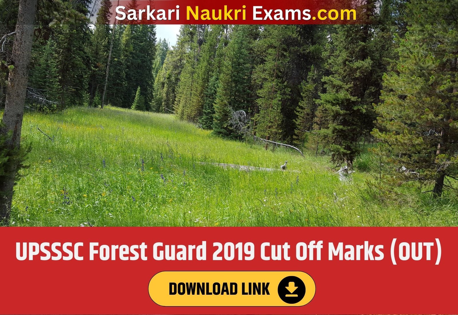 UPSSSC Forest Guard 2019 Cut Off Marks (OUT) | Download Link