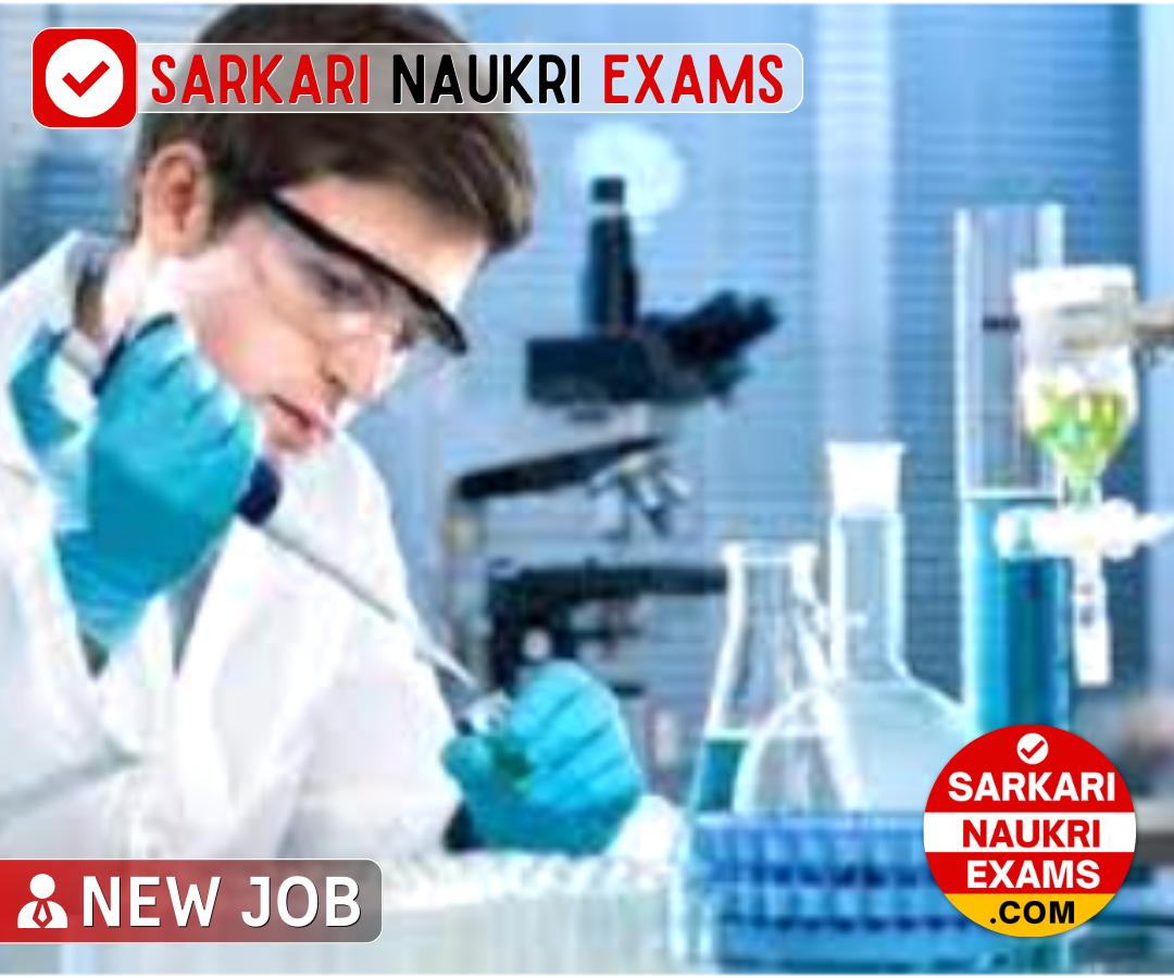 IIT Jammu Senior Technical Officer Recruitment 2024 | Last Date: 16 Dec. Online Form