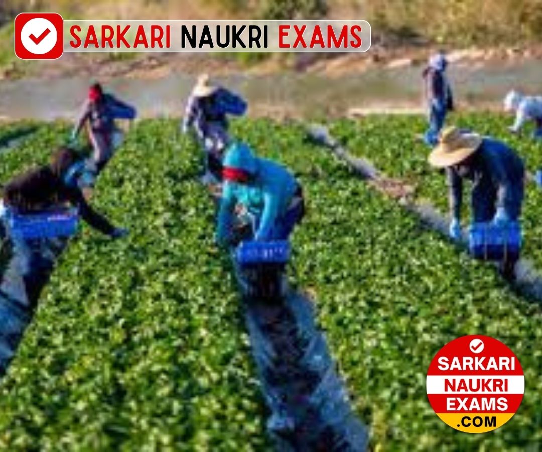 KPSC Farm Assistant Grade II Recruitment 2024 | Last Date: 02 May Apply Online Form