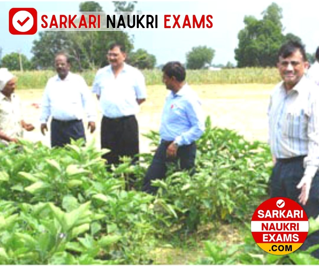 CSA University Driver Recruitment 2024 | Last Date: 15 April Apply Online Form